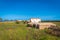 Parco Archeologico Lilibeo and the Church of San Giovanni Battista, Marsala, Trapani, Sicily, Italy, Europe