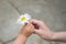 Parent and child hands handing white flower