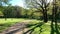 The parent with the child has a rest on a lawn, Panorama of first days of spring in a forest, long shadows, blue sky