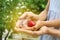 Parent and daughter holding heart in hands, closeup