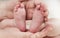 Parent holds gentle little beautiful feet in a newborn baby