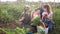 Parents with children hold ripe vegetables in their hands on farm field