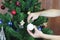 Parents dress up a festive tree for children