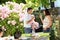 Parents making a toast outdoors