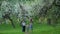 Parents and sister with brother with ball in spring park in blooming garden.