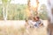 Parents sitting with daughter against tree on field at farmland with yellow lens flare in background