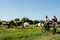 Parents and their baby riding past field with cows. Bike tour in countryside