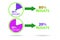 Pareto rule illustration of 80 to 20