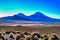 Parinacota and Pomerape Volcanoes