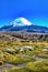 Parinacota volcano. High Andean landscape in the Andes. High Andean tundra landscape in the mountains of the Andes