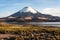 Parinacota Volcano, Lake Chungara, Chile