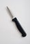 Paring Knife, vertical