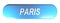 PARIS blue rounded rectangle push button - 3D rendering illustration