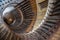 Paris, France - August 05, 2006: Top view of the architectural element of the spiral staircase in the gallery of