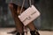 Paris, France - January, 24, 2024: woman wears Chanel bag, street style details, fashion detail.