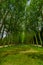 Paris, France June 1, 2015: World famous gardens of Versaille with its magnificient green arrangements