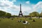 PARIS, FRANCE- June,16, 2018: Eiffel tower on a sunny day