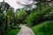 Paris, France - Landscape, Urban Park, Walking Pathway in Bois de Boulogne, Bagatelle Garden (PS-49040)