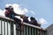 PARIS, FRANCE - MAY, 3 2016 - Firemen in action on a bridge