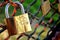 Paris Love Lock Sweethearts Padlock on Park Fence