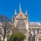 Paris, Notre-Dame cathedral