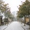 Paris, the Pere-Lachaise cemetery