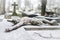 Paris, the Pere-Lachaise cemetery