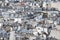 Paris roofs