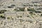 Paris Skyline with Tilt Shift Effect