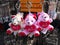 Paris Souvenir Teddy bears key holders for sale