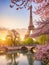 Paris in spring at sunrise, Eiffel tower