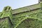 Parish Jesus in the Garden of Olives. Outer walls covered by climbing plants