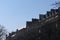 parisian houses and trees, typical city view