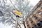 Parisian metro sign against snow covered tree