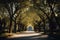 Park alley. Alley of the city park. Long shadows in the evening. Sunlight at sunset. AI generated