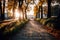 Park alley. Alley of the city park. Long shadows in the evening. Sunlight at sunset. AI generated