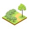 Park alley with bushes and tree isometric 3D icon