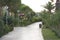 park with alley of pink blossoming trees. Spring landscape. Walking path under the beautiful flower tunnel during blossom season.