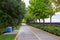 Park with an asphalt road and yellow markings for bicycles and pedestrians.