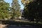 Park in Autumn in the Old Town of Wernigerode in the Harz Mountains, Saxony - Anhalt