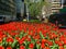 Park Avenue flowers in NYC