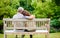 Park, back view or old couple on bench for support, trust or hope in commitment together at home. Wellness, garden or