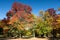 Park of Bad Homburg in autumn