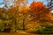 Park of Bad Homburg in autumn