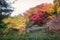 Park in beautiful autumn colors