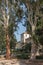 Park with beautiful trees around the church on the Mount of Beatitudes on the Sea of Galilee