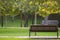 Park bench on an alley with green grass and trees with colored leaves and sun light on golden hour