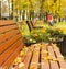 Park with bench on alley in yellow autumn