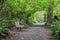 Park bench along a foot trail