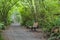 Park bench along a foot trail